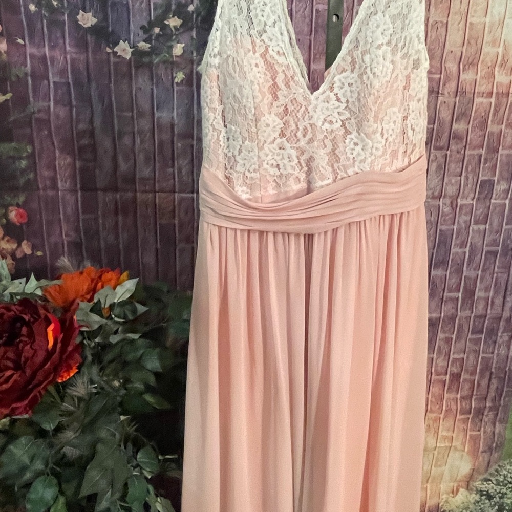 Bari Jay Lace and Chiffon Dress in Blush Pink